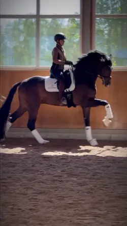 horse slowmo