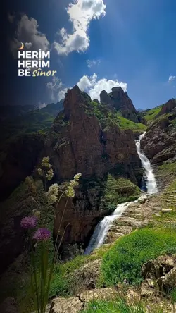 yeni şablon 