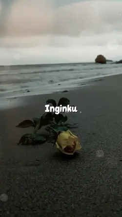 Tanpa Kekasih