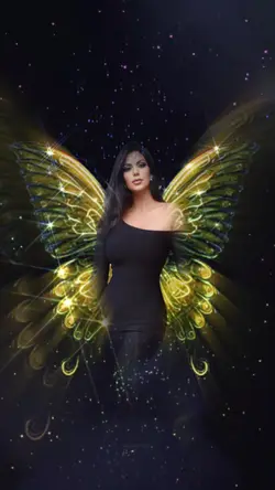 butterfly