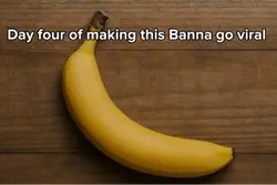 Day 5