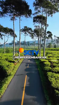 sctv mempersembahkan