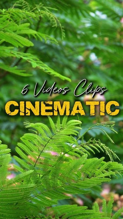 Cinematic 6 Videos 