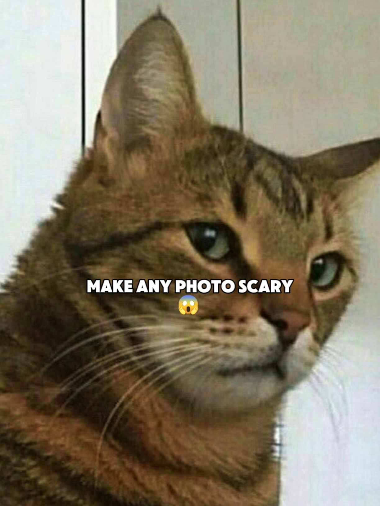 Bu korkunç filtre 