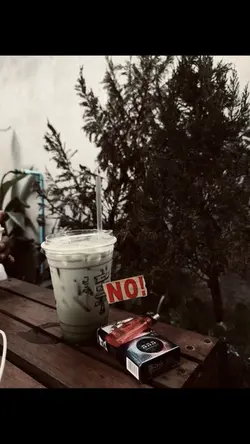 Song loy 🌟💫🎼