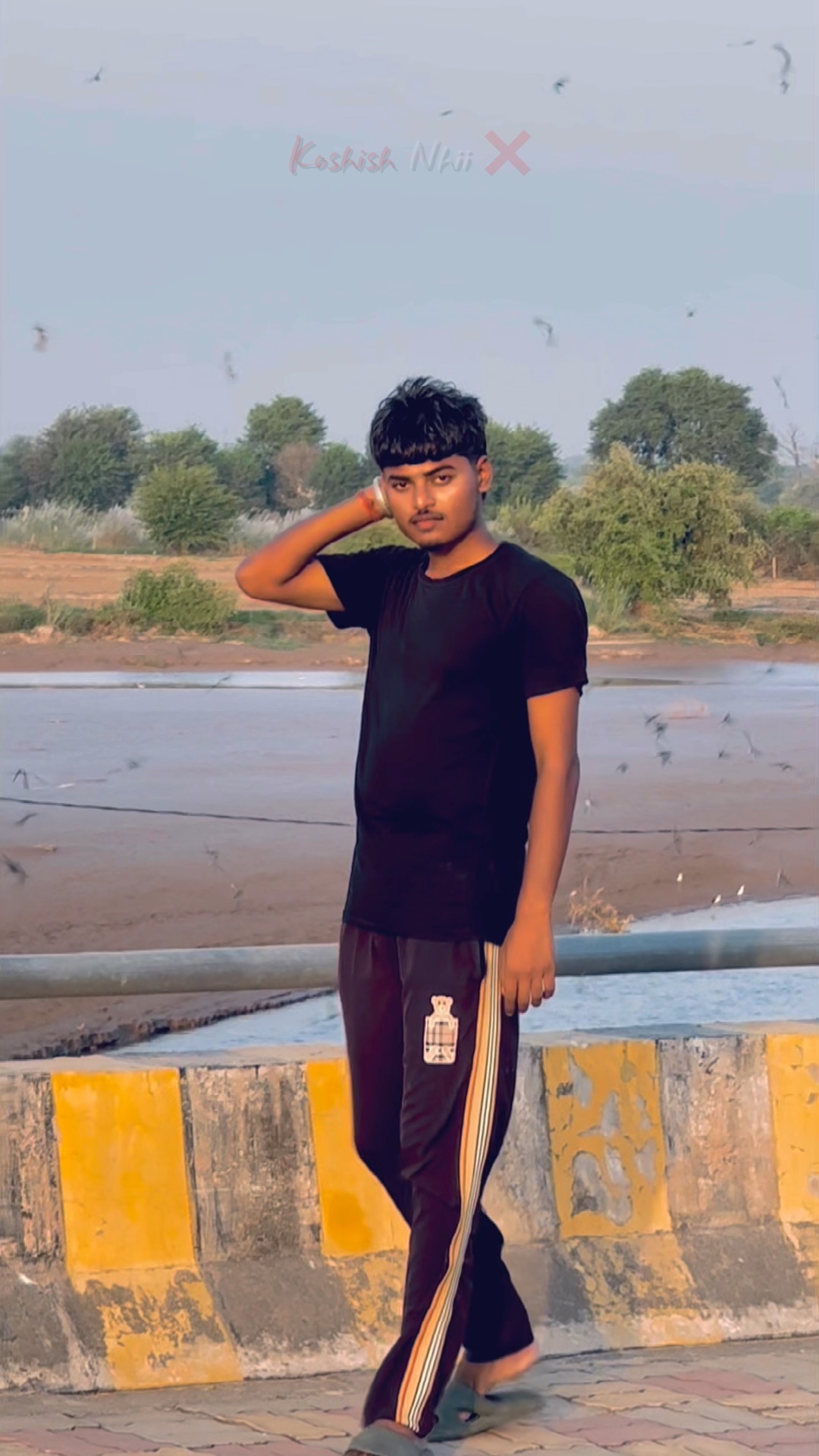 Cover Picture