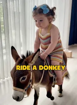 ride a donkey