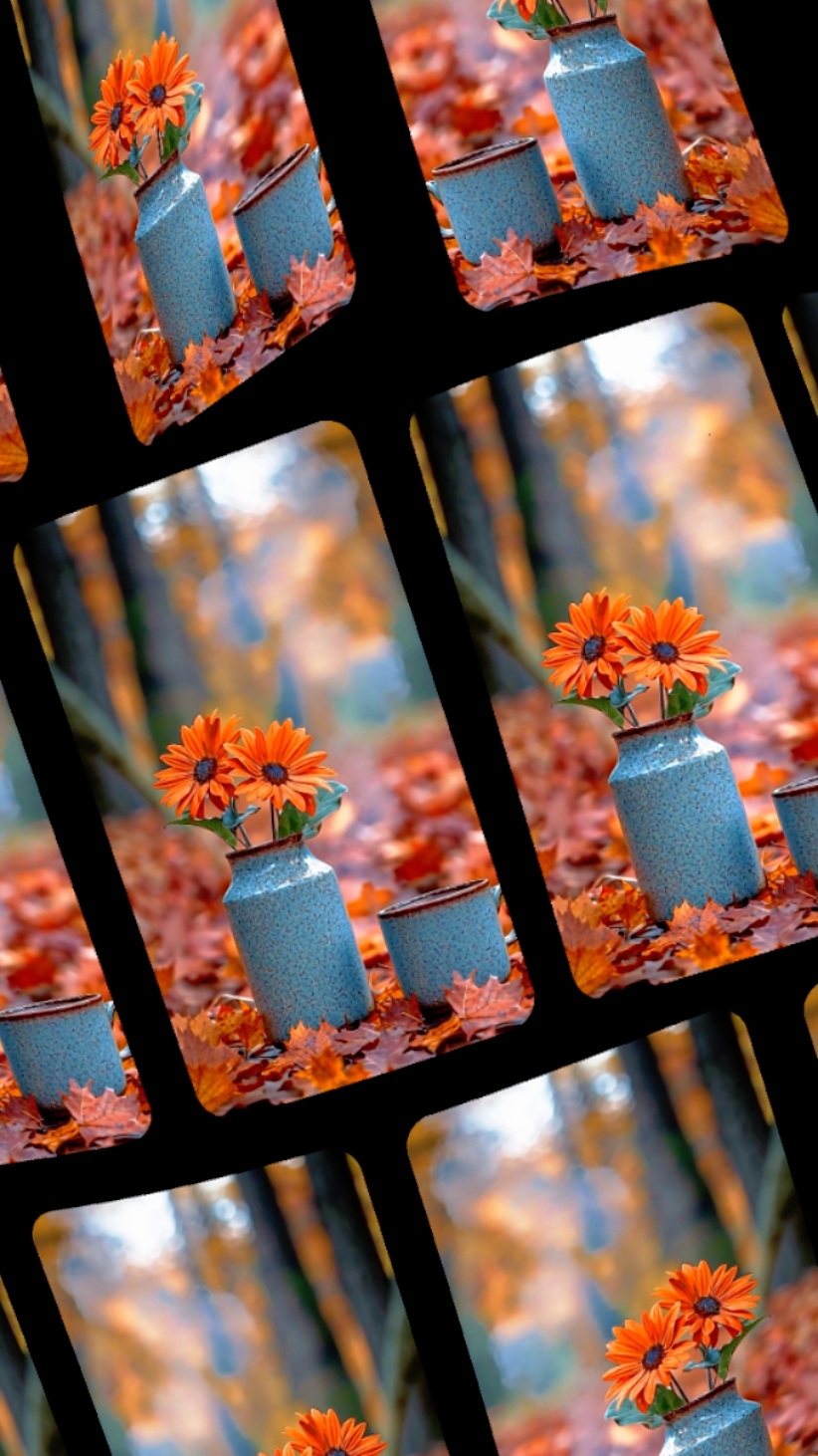 Herbst-Moment