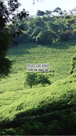 Cười lên ha 웃어