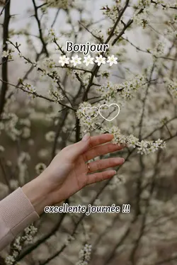 bonjour