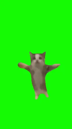 Happy Cat