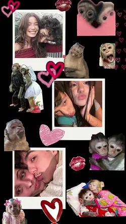 macaquinhos casal