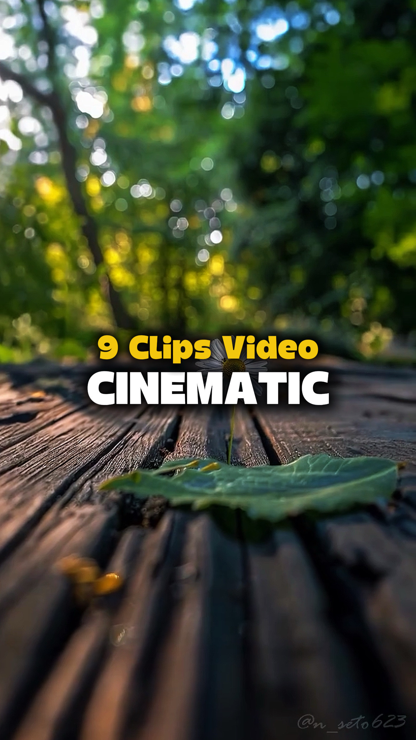 9 Videos Cinematic 