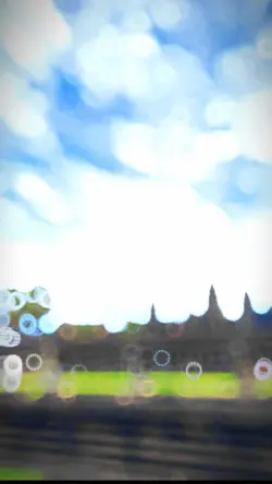 ដើមឈេឺយោលចុះឡើង🌴🌴☘️