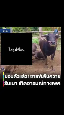 กวนๆ