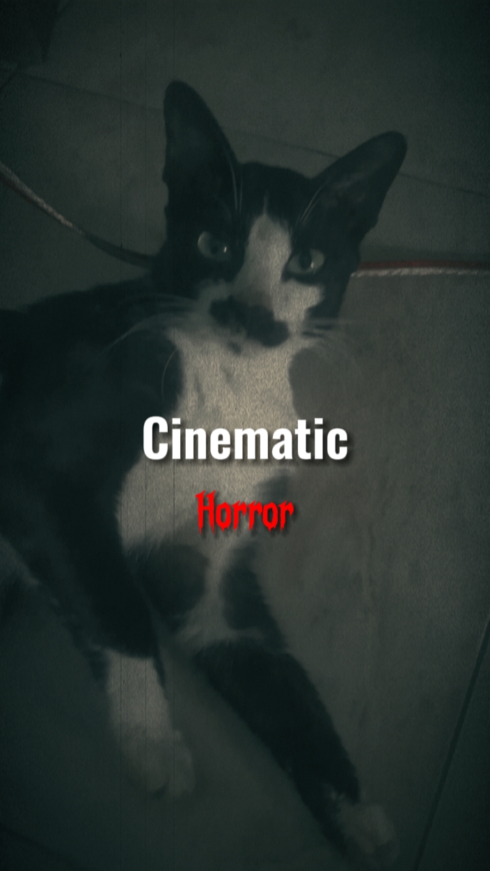 Horor de cine