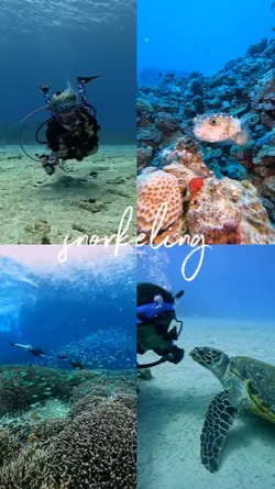 snorkeling