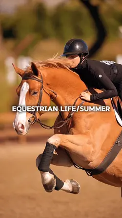 equestrian life