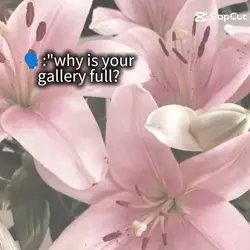 My gallery is full!