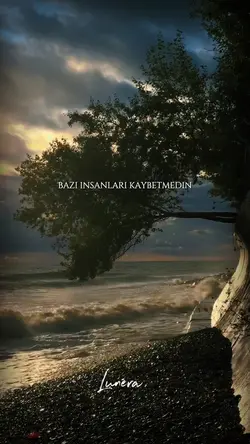 İlişkinin Enkazı