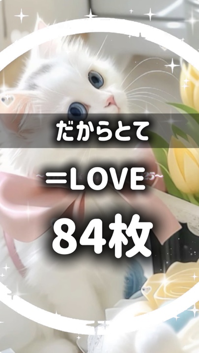 ⭐⭐=사랑