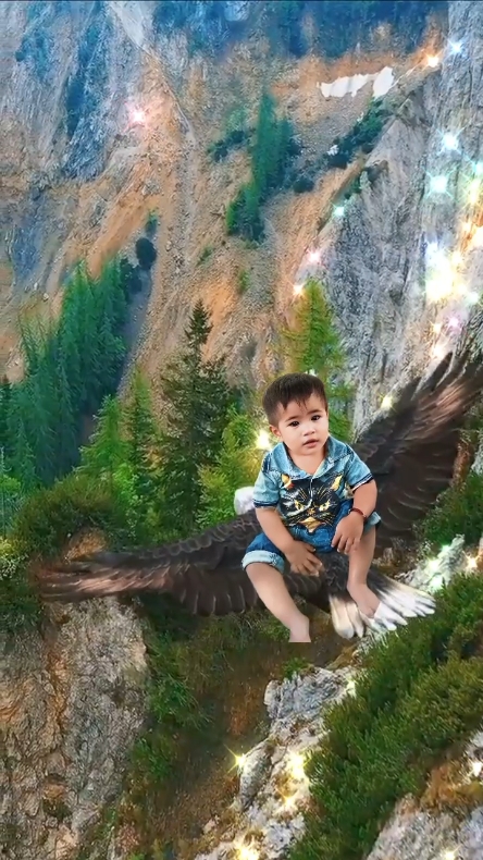 Cover Picture