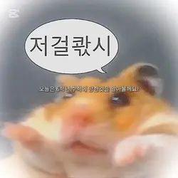 6학년수학에 망한걸