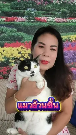 แมวอ้วนขึ้น