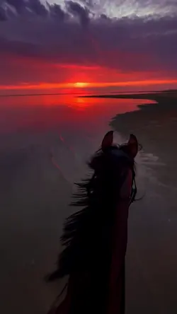 horse riding 🏝️