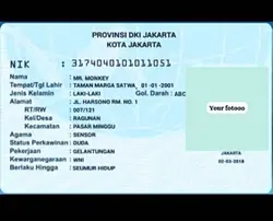 tamplate ktp monyet
