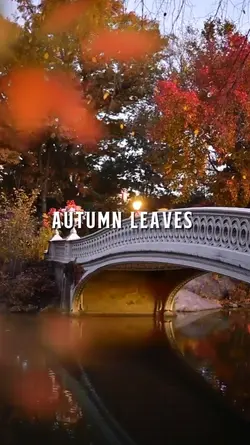 autumn leaves