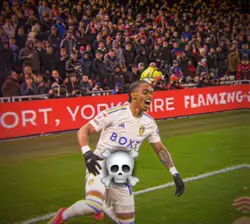 This celebration ☠️