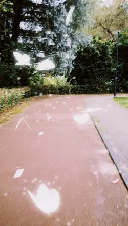Fietsen in het veen