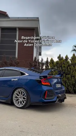 Aslan Dostlarım 😒