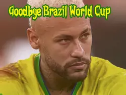 Goodbye Brazil
