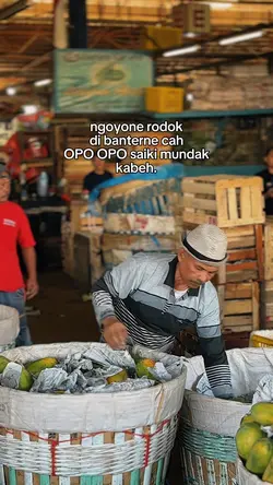 Opo opo saiki mundak