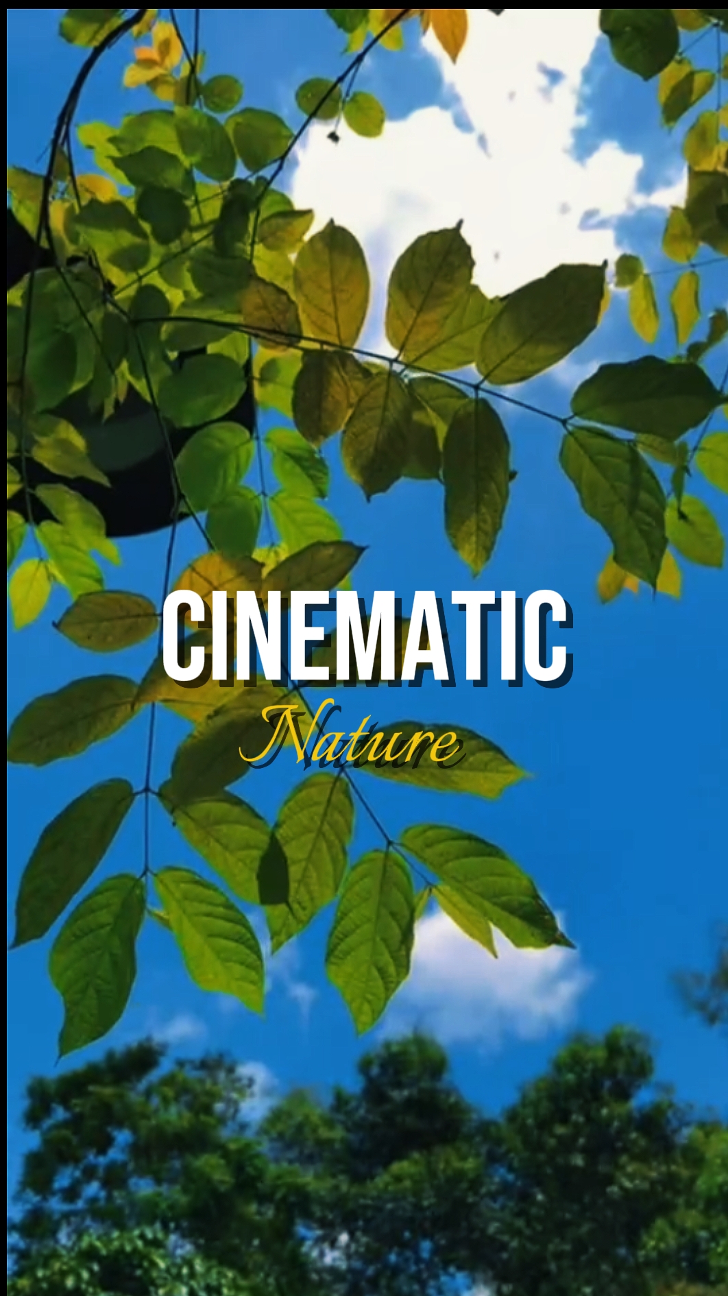 cinematic template