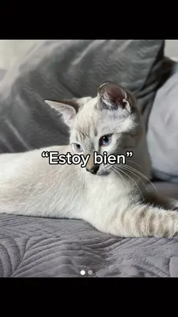 Estoy bien…