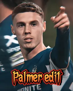Palmer edit