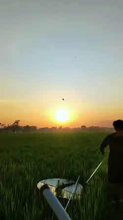 layangan