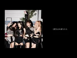 卒業や友達におすすめ!