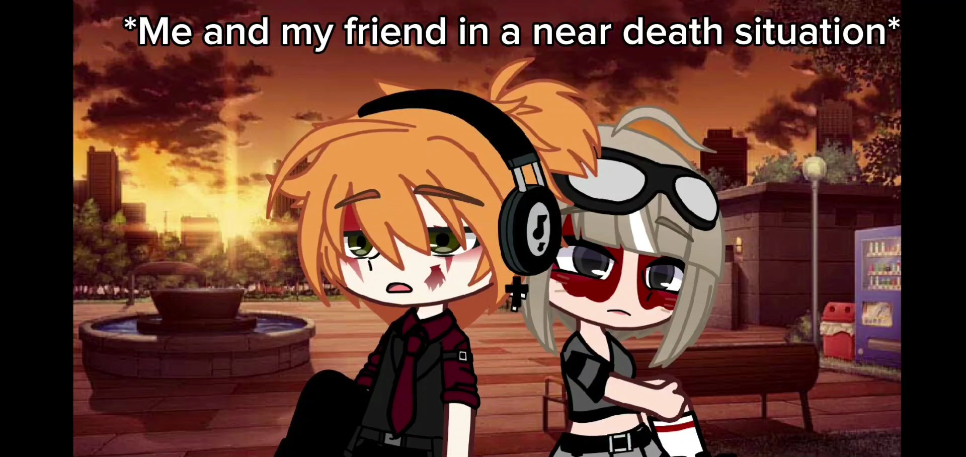 We both do stupid