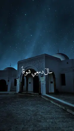 قلبي في المدينة