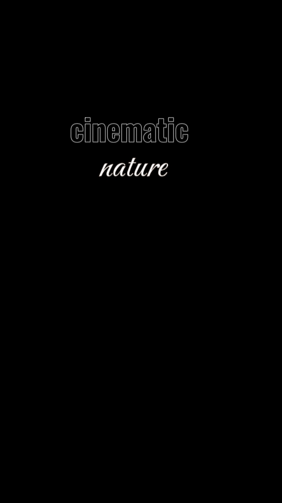 Natureza cinematográfica