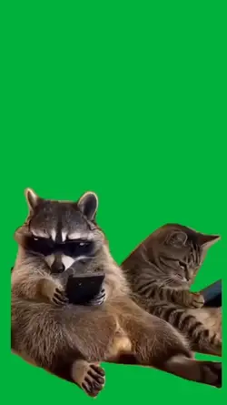 Meme