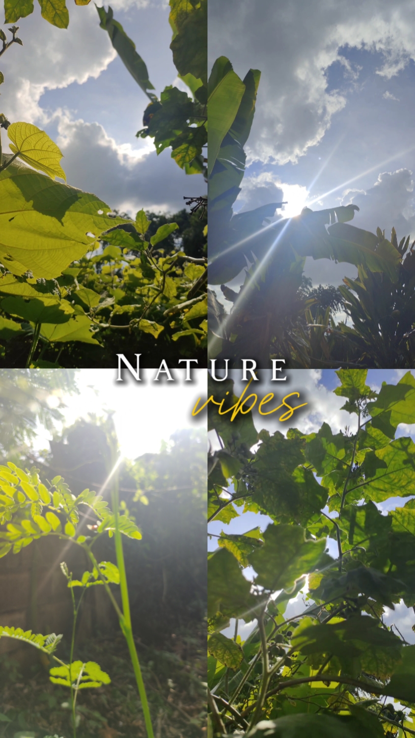 Vibraciones de Natura 