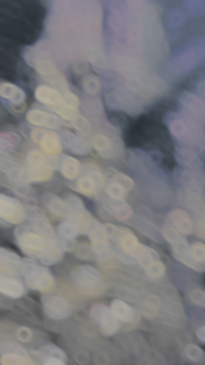 Check PunjabiSound 🔥