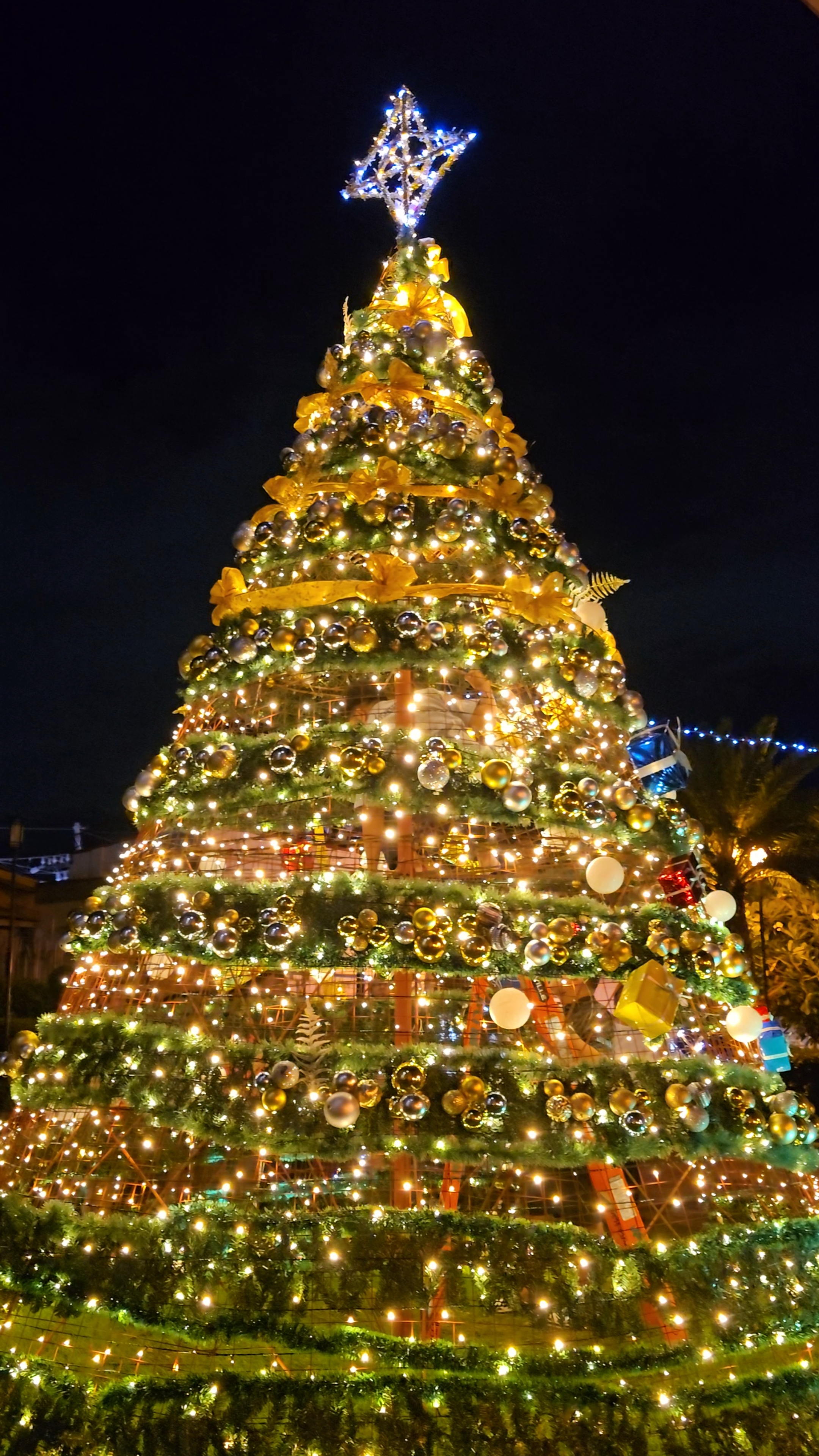 Natal cinematográfico