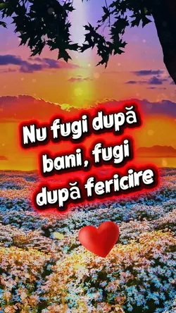 Cauta Fericirea.