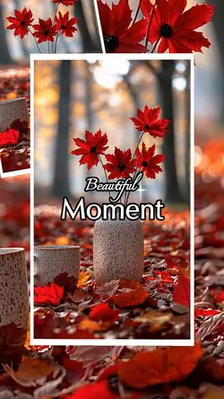Beautiful Moment